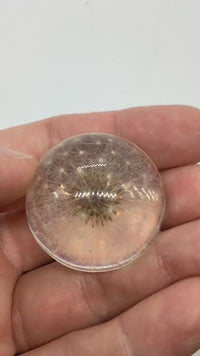 One of a Kind, SEED POD, Domed Dandelion Cabochon, Handmade, Resin & Dried Flowers