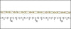 Figure 8 Chain, Delicate, 4 Finishes - The Argus Collection