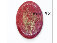 Reef Cabochon, Handmade with real Dried Flora - The Argus Collection