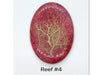 Reef Cabochon, Handmade with real Dried Flora - The Argus Collection