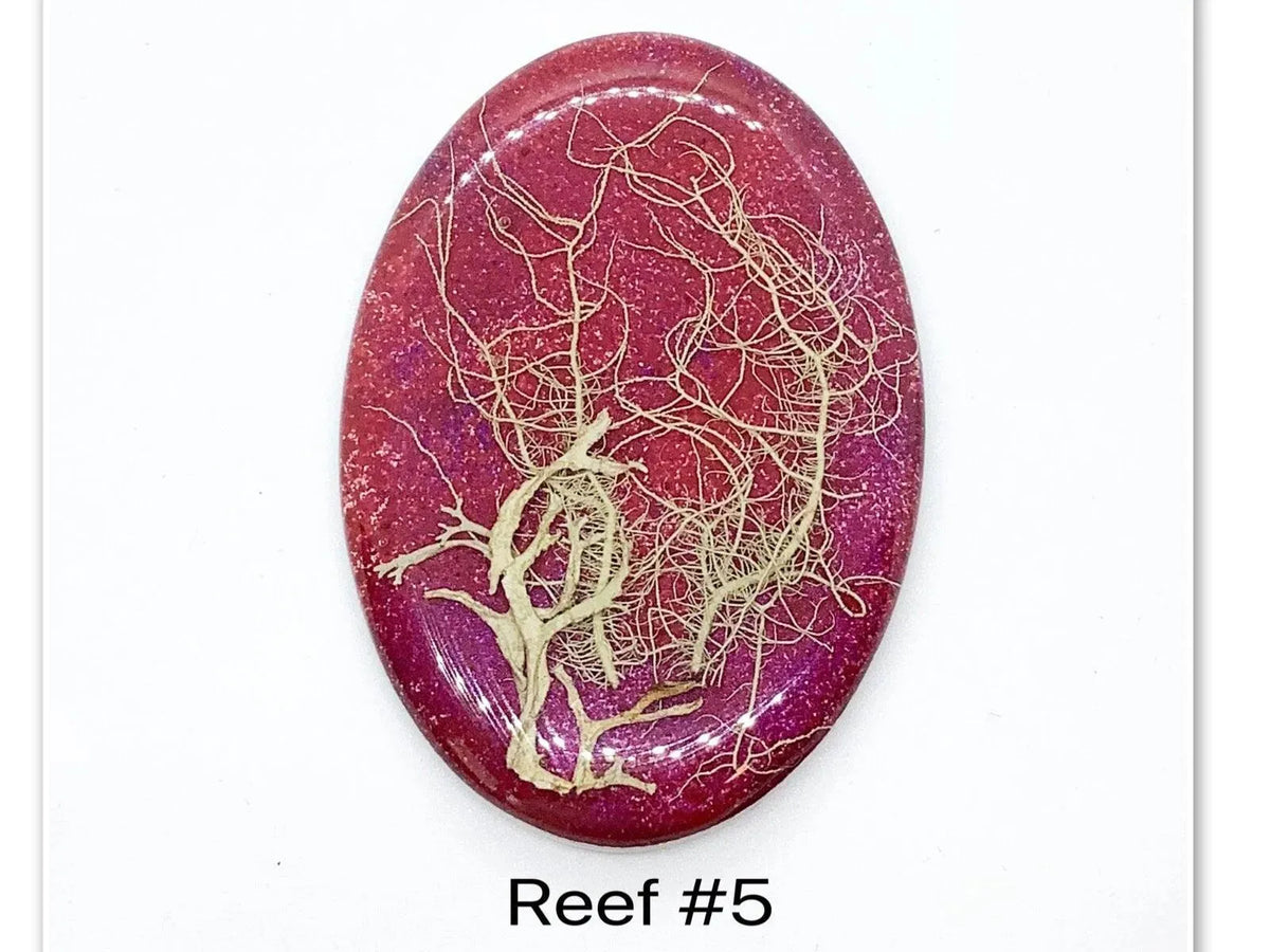 Reef Cabochon, Handmade with real Dried Flora - The Argus Collection