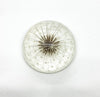 Seed Pod Domed Dandelion Resin Cabochons, Handmade with Dried Flowers - The Argus Collection