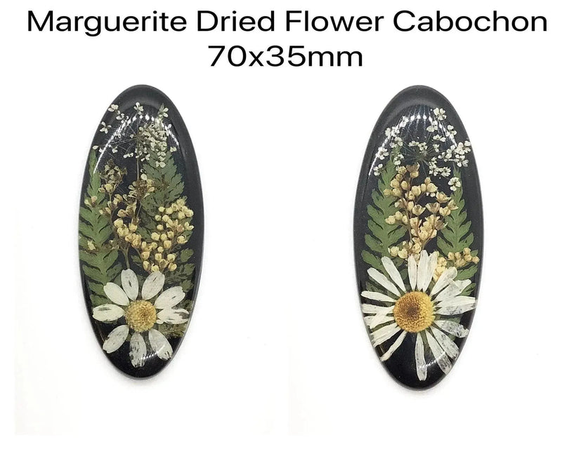 Marguerite Oval Cabochons, Handmade with Real Dried Flowers - The Argus Collection