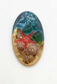 Starfish Resin Cabochons, Handmade with Shells & Starfish - The Argus Collection