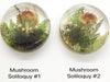 Mushroom Soliloquy Resin Cabochons, 28mm, Handmade with Dried Flowers - The Argus Collection