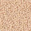 11/0 Miyuki Seed Beads 23g, 11-2021, 11-2022, 11-2023, 11-2024 - The Argus Collection