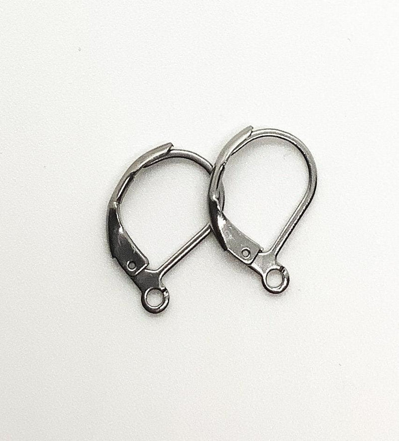 Leverback Earrings with loop, 304 Stainless Steel, 5 Pair, 4 Finishes - The Argus Collection