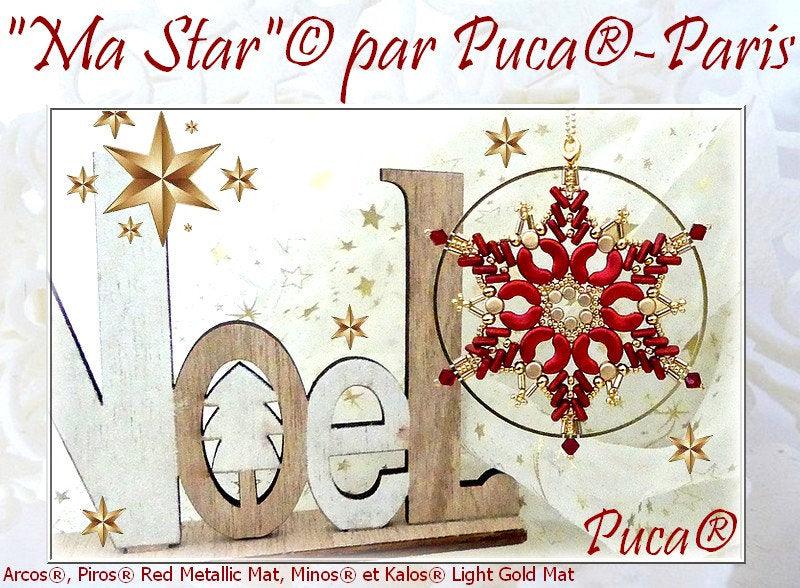 Ma Star Ornament Pattern par Puca - The Argus Collection