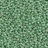 11/0 Miyuki Seed Beads 23g, 11-4213, 11-4213F, 11-4214, 11-4214F - The Argus Collection