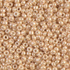 8/0 Miyuki Seed Beads, 10g. - The Argus Collection