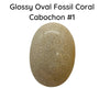 Fossil Coral Cabochons, Glossy or Matte - The Argus Collection