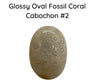 Fossil Coral Cabochons, Glossy or Matte - The Argus Collection