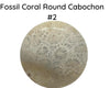 Fossil Coral Cabochons, 35mm, #8 is 45mm - The Argus Collection