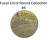 Fossil Coral Cabochons, 35mm, #8 is 45mm - The Argus Collection