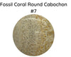 Fossil Coral Cabochons, 35mm, #8 is 45mm - The Argus Collection