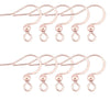 Monaco 1, 316 Surgical Steel Ear Wires, 5 Pair - The Argus Collection