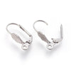 Monaco 11, 304 Stainless Steel Leverback Earrings with Leaf Front in 2 Finishes - The Argus Collection