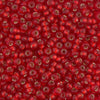 8/0 Miyuki Seed Beads 10g. - The Argus Collection