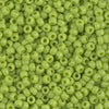 8/0 Miyuki Seed Beads 10g. - The Argus Collection