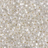 8/0 Miyuki Seed Beads, 10g. - The Argus Collection