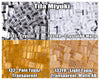 Miyuki Tila, 5g, TL131, TL131FR, TL132, TL132FR - The Argus Collection