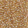 8/0 Miyuki Seed Beads 10g. - The Argus Collection