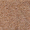 8/0 Miyuki Seed Beads 10g. - The Argus Collection