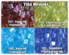 Miyuki Tila, 5g, TL257, TL258, TL260, TL261 - The Argus Collection