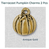 Pumpkin Charms and Dangles, TierraCast - The Argus Collection