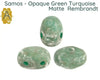 Three green turquoise 2-hole beads with 'Argus' logo on a white background