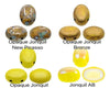 Collection of colored 2-hole samos beads labeled with names on a white background